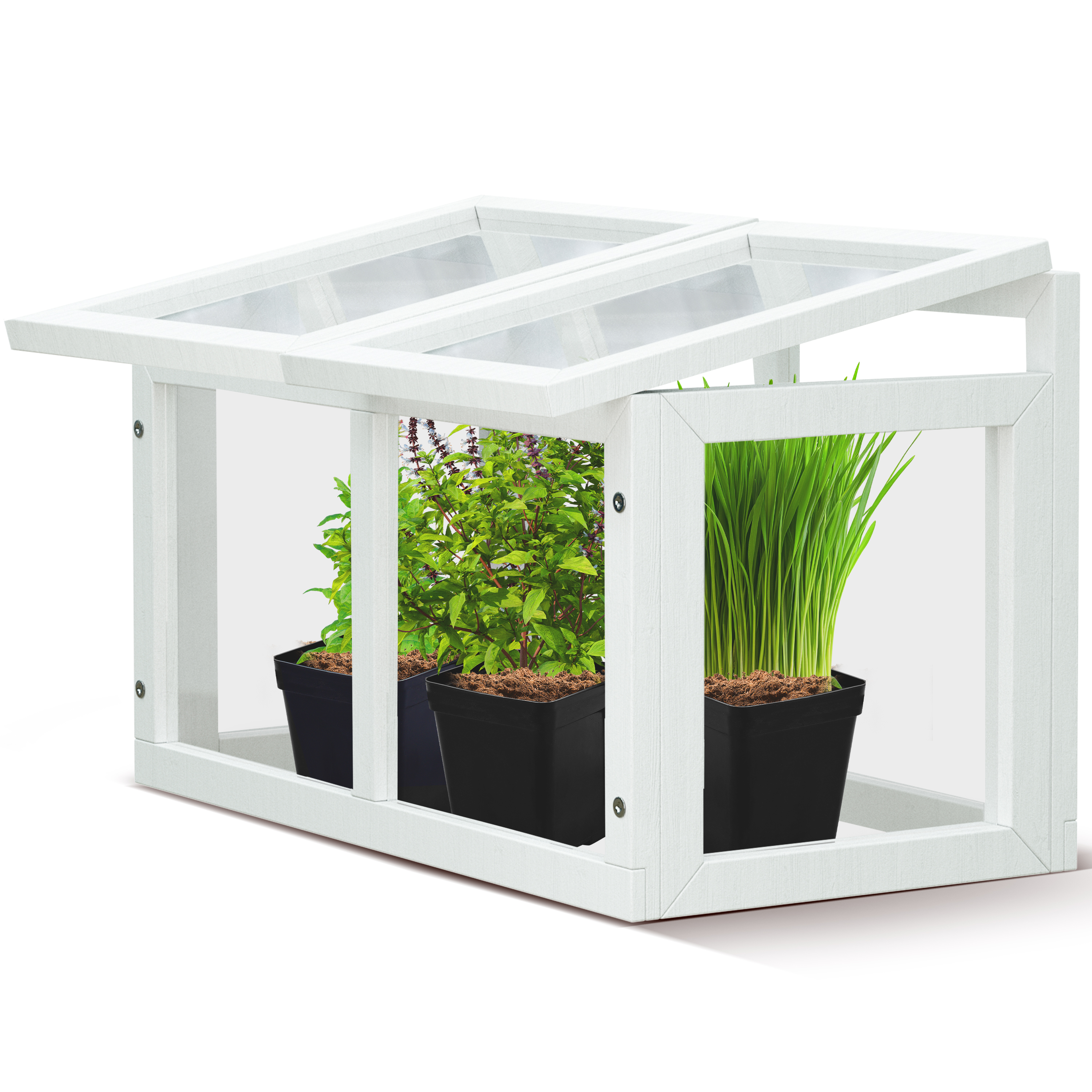 Mini tabletop greenhouse for indoor plants — compact clear enclosure on countertop